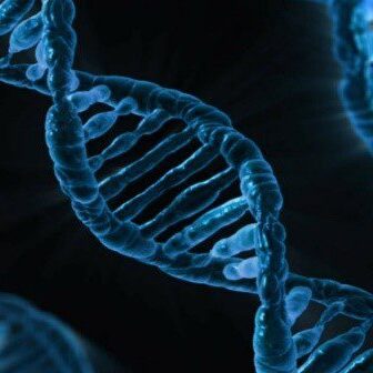 DNA day 1